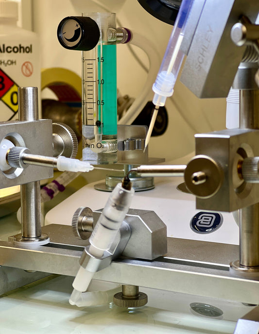 Kunstig Inseminasjon