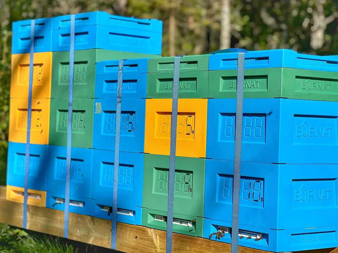 BURNAT Polybikuber i Norge