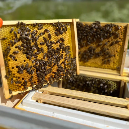 Burnat MiniPlus med rammer