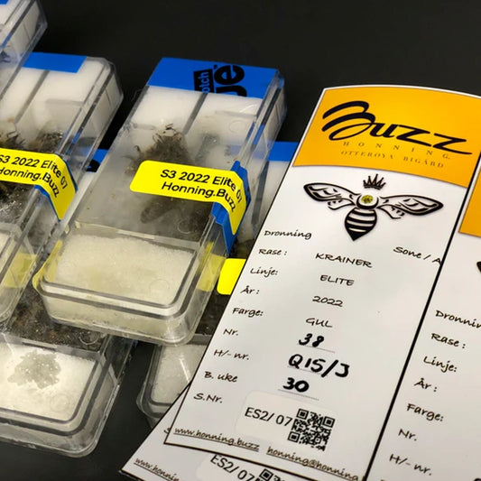 Krainerrase dronning – AI Elite