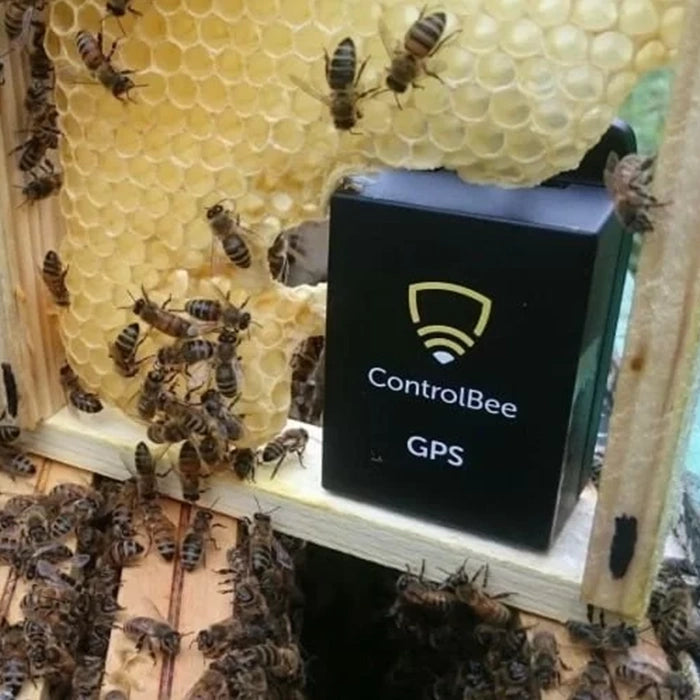 ControlBee GPS – sporing og beskyttelse av bigård