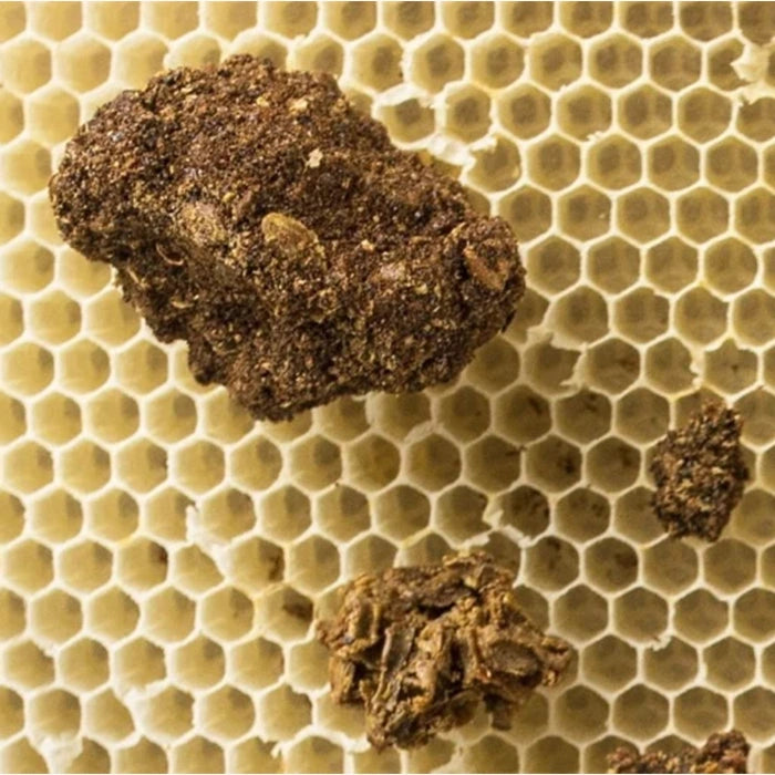 Balsam med CBD-olje og propolis 20g