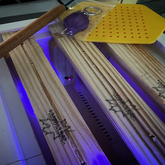 Dronningmerker 500–999 (5 års farger) + UV-lampe