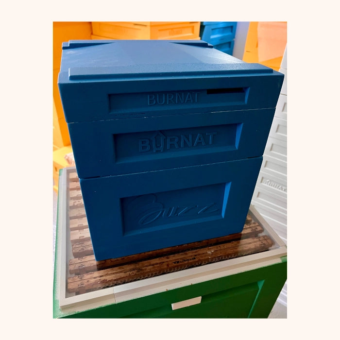 MiniPlus Adapterfolie