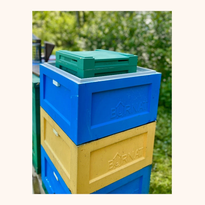 MiniPlus Adapterfolie